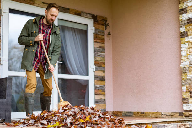 Best Office Junk Removal  in Oreana, IL