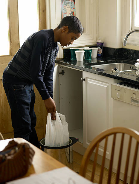 Best Professional Junk Removal  in Oreana, IL